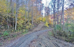 150 Sycamore Creek Road, Van Lear, KY 41265