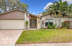 3005 ENISGLEN DRIVE, PALM HARBOR, FL 34683