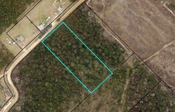 0 Hannah Road, Eastman, GA 31023