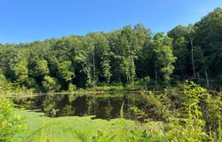 0 Estel Asbury Rd, Columbia, KY 42728