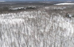 Camp 23 Road, Germfask, MI 49836
