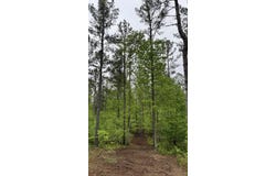 000 Sullivan Road, Dunlap, TN 37327