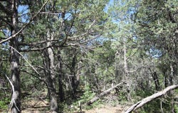 8 & 10 Roadrunner Road, Tijeras, NM 87059