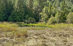 NKA Cedar Creek, Kendrick, ID 83537