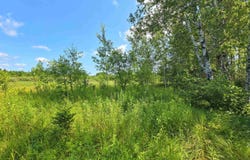 TBD Bauer, Hardwood, MI 49831