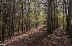 Henderson Overlook Road, Huntingdon, PA 16652
