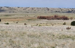 000 Reno Road, Pueblo, CO 81004