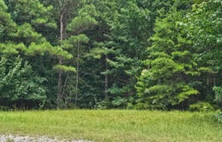 000 BUSBY CHURCH ROAD, Nauvoo, AL 35578