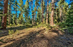 10847 Royal Crest Drive, Truckee, CA 96161