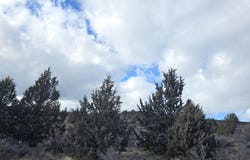 5 Drews Road, Sprague River, OR 97639
