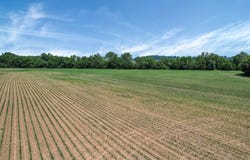W Fair Avenue, Lancaster, OH 43130