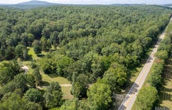 2168 State Hwy 49, Piedmont, MO 63957