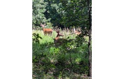 929 Madison 5330, Huntsville, AR 72740