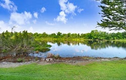2257 FLETCHERS POINT CIRCLE, TAMPA, FL 33613