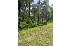 Tbd NW 97 COURT, CHIEFLAND, FL 32626