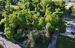 0000 Fort Road, Greenwood, FL 32443