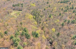 SERFAS DRIVE, STROUDSBURG, PA 18360