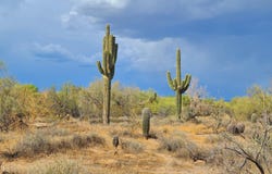 5141 E RANCHO TIERRA Drive, Cave Creek, AZ 85331