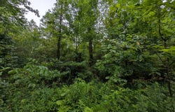 0 SR 13, Glouster, OH 45732