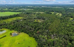Vacant NW Coachwhip Avenue, Madison, FL 32340