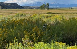 10340 County Rd 19, San Luis, CO 81152