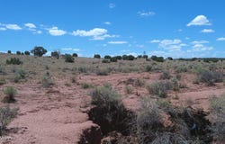 Tbd Ranch of the White Mountains, Concho, AZ 85924