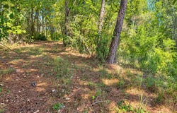 12 Bud Elliot Subdivision, Purvis, MS 39475