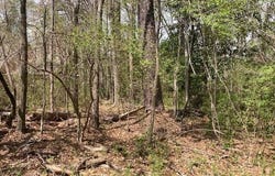 8 Lots Maplewood Ln Ext, Alexander City, AL 35010