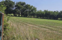 Tbd Hwy 86, Loma Linda, MO 64804