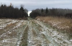 W M-48, Rudyard, MI 49780