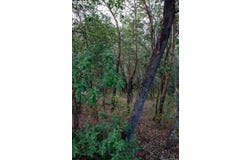0 NORTH CT, Riddle, OR 97469