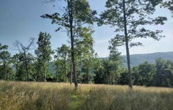 0 Burten Hill Road, Mountain View, AR 72560