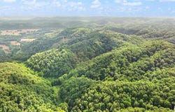 0 Sycamore Creek Road, Jamestown, KY 42629