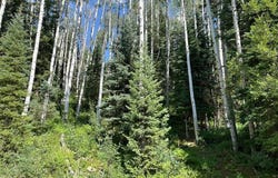 158 Engineer Drive, Durango, CO 81301