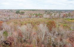 0 Deer Highlands Dr, Jasper, AL 35503