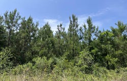 15-19-11 AR-Hwy 29, Huttig, AR 71747