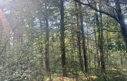 Sturgis Road, Atlanta, MI 49709