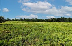 5784 County Road 123, Iola, TX 77861