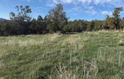 14495 Scott Loop, Collbran, CO 81624