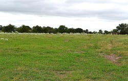 00 Hwy 90 E., Schulenburg, TX 78956