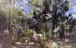 5th St Sw, NAPLES, FL 34117