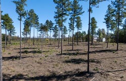 Lot 5 Christanna Highway, Lawrenceville, VA 23868