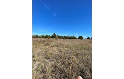 1604 CR 3365, Ladonia, TX 75449