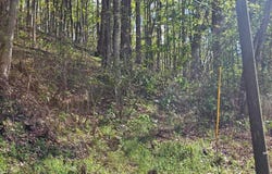 124 Porter Valley Road, Marion, VA 24354