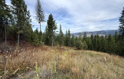 4 LAKEVIEW Dr, REPUBLIC, WA 99166