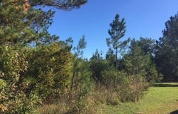 BONNIE Lane lot: 3, Covington, LA 70433