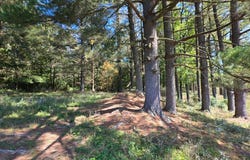 Meeksville Road, McArthur, OH 45651