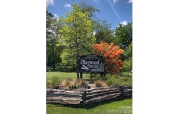 FR16 opossum Path, Brevard, NC 28712
