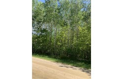 Tbd 63rd Ave N, Walker, MN 56484