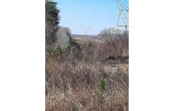 300 Co Rd 191, Waterloo, AL 35677